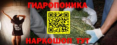 прущие грибы Заводоуковск