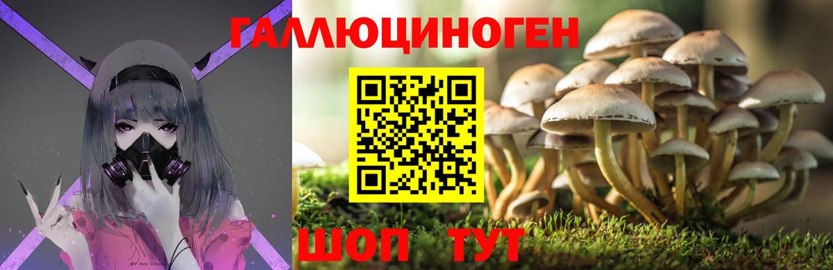 Галлюциногенные грибы Cubensis Зеленокумск